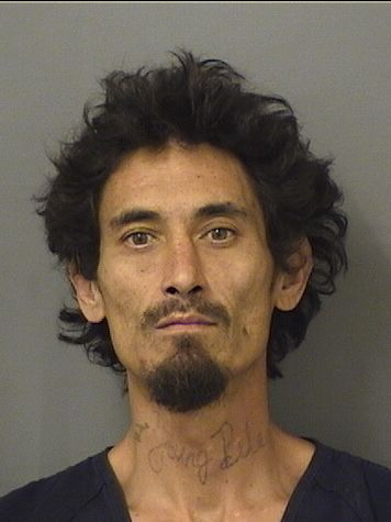  JONATHAN S SAEKOW Results from Palm Beach County Florida for  JONATHAN S SAEKOW