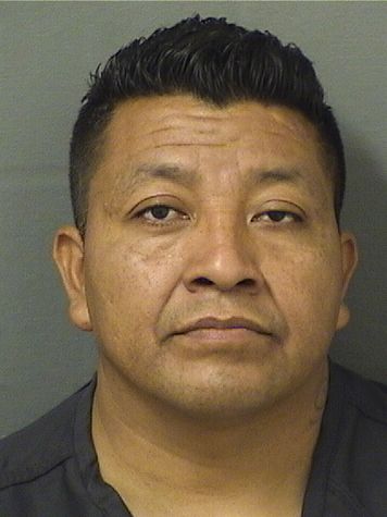  MIGUEL MIGUELPASCUAL Resultados de la busqueda para Palm Beach County Florida para  MIGUEL MIGUELPASCUAL