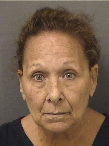  DIANE PATRICIA PALAZZO Results from Palm Beach County Florida for  DIANE PATRICIA PALAZZO