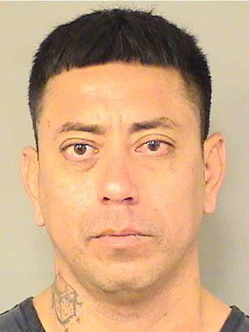  JORGE ADRIAN ROSAS Resultados de la busqueda para Palm Beach County Florida para  JORGE ADRIAN ROSAS