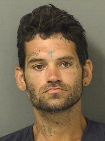  BRANDON M BOROZNY Results from Palm Beach County Florida for  BRANDON M BOROZNY