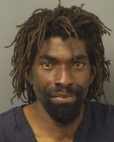  DEVON R JACKSON Results from Palm Beach County Florida for  DEVON R JACKSON