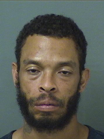  MICHAEL LANE ADAMS Results from Palm Beach County Florida for  MICHAEL LANE ADAMS