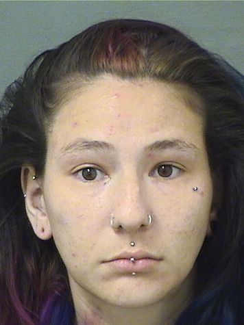  TAYLOR GENNARINA ADELSTEIN Results from Palm Beach County Florida for  TAYLOR GENNARINA ADELSTEIN