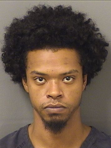  JOSEPH DANIEL HALFORD Results from Palm Beach County Florida for  JOSEPH DANIEL HALFORD