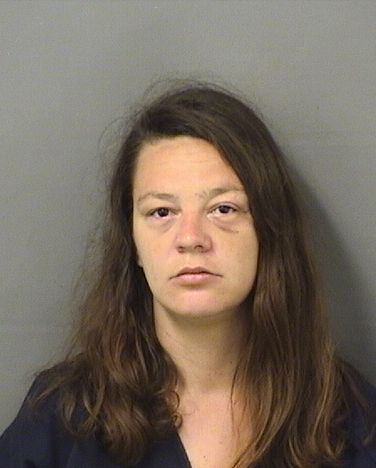  KAILEY LYNN HYNDMAN Results from Palm Beach County Florida for  KAILEY LYNN HYNDMAN