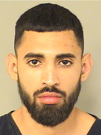  MARIO GUZMAN Results from Palm Beach County Florida for  MARIO GUZMAN