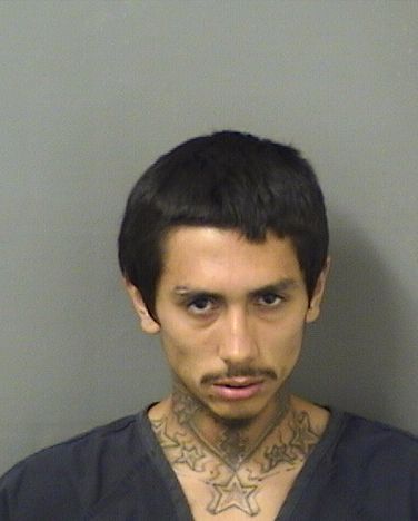  LOUIS REY HINOJOSA Resultados de la busqueda para Palm Beach County Florida para  LOUIS REY HINOJOSA