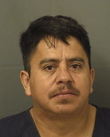  JOSE LUIS ALVARADOVILLATORO Results from Palm Beach County Florida for  JOSE LUIS ALVARADOVILLATORO