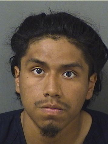  JOSE FERNANDO FRANCISCO Photo For  JOSE FERNANDO FRANCISCO