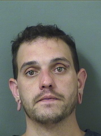  DAYNE LEVIN HARRIS Resultados de la busqueda para Palm Beach County Florida para  DAYNE LEVIN HARRIS