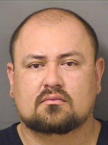  DANIEL ANDRES LEMOS Results from Palm Beach County Florida for  DANIEL ANDRES LEMOS