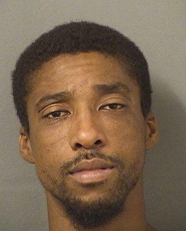  CHRISTIAN A BROWN Results from Palm Beach County Florida for  CHRISTIAN A BROWN