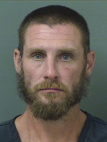  STEVEN FRANK Photo For  STEVEN FRANK