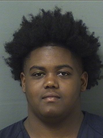  LAVARELA DEONCEYA MCCLENDON Results from Palm Beach County Florida for  LAVARELA DEONCEYA MCCLENDON