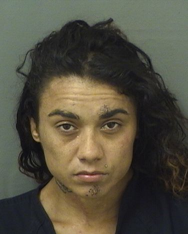  ALESCIA M LANNOTTI Results from Palm Beach County Florida for  ALESCIA M LANNOTTI