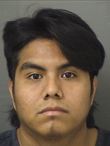 JOAQUIN PEREZDOMINGUEZ Results from Palm Beach County Florida for  JOAQUIN PEREZDOMINGUEZ