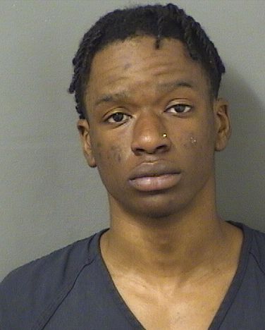  CARMEL G WELLS Results from Palm Beach County Florida for  CARMEL G WELLS