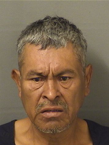  RICARDO DEQUINO Photo For  RICARDO DEQUINO