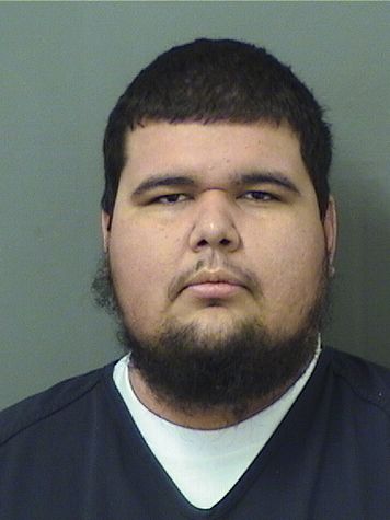  REYMAN ANTONIO SANTIAGO Results from Palm Beach County Florida for  REYMAN ANTONIO SANTIAGO