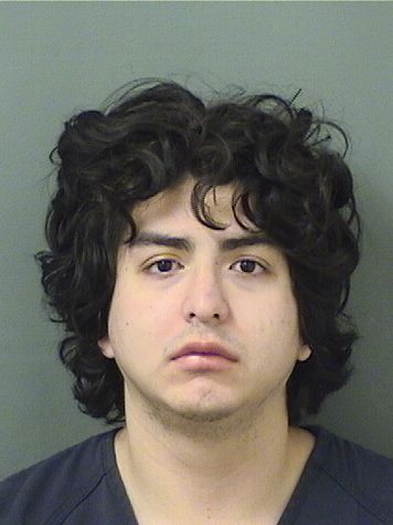  BRANDON DURAN Results from Palm Beach County Florida for  BRANDON DURAN