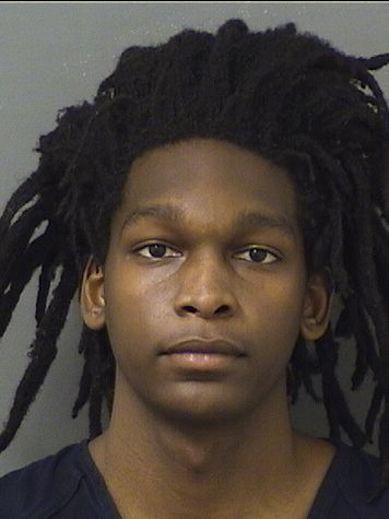  JOSIAH DERRELL OWENS Results from Palm Beach County Florida for  JOSIAH DERRELL OWENS