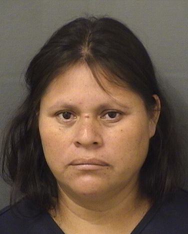  MARIA DOMINGOPEDRO Results from Palm Beach County Florida for  MARIA DOMINGOPEDRO