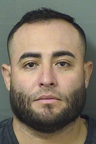 BRYAN XAVIER REYESSAUCEDA Results from Palm Beach County Florida for  BRYAN XAVIER REYESSAUCEDA