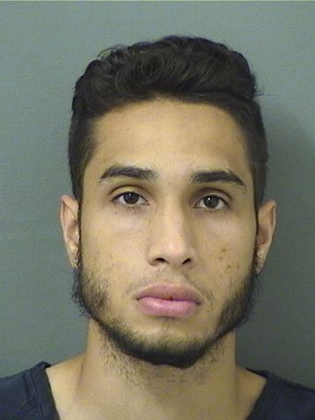  BRANDO N MITCHELL Results from Palm Beach County Florida for  BRANDO N MITCHELL