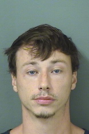  VERNE F BLISS Results from Palm Beach County Florida for  VERNE F BLISS