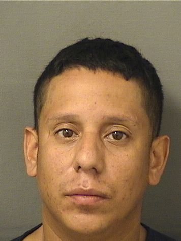  JUAN A ROSARIO Results from Palm Beach County Florida for  JUAN A ROSARIO
