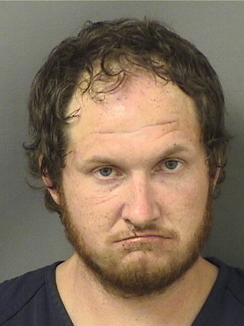  JUSTIN M BRINSER Results from Palm Beach County Florida for  JUSTIN M BRINSER