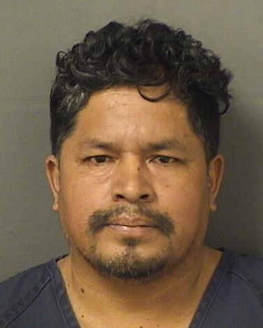  TOMAS PACAJOJLARES Results from Palm Beach County Florida for  TOMAS PACAJOJLARES