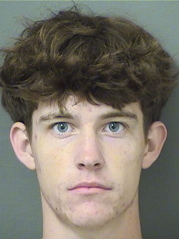  TYLER DAVID SEARCH Results from Palm Beach County Florida for  TYLER DAVID SEARCH