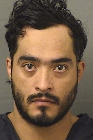  EDWIN CALLEJASORTIZ Results from Palm Beach County Florida for  EDWIN CALLEJASORTIZ