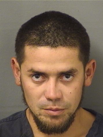  DANIEL B ALMENDARESRIVAS Results from Palm Beach County Florida for  DANIEL B ALMENDARESRIVAS