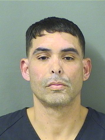  MICHAEL ANTHONY TORRES GINES Results from Palm Beach County Florida for  MICHAEL ANTHONY TORRES GINES