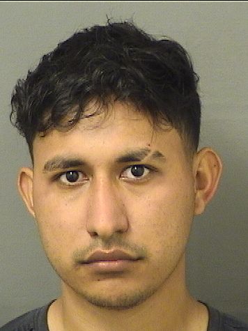  MYNOR GEOVANNI CARIASCASTILLO Resultados de la busqueda para Palm Beach County Florida para  MYNOR GEOVANNI CARIASCASTILLO