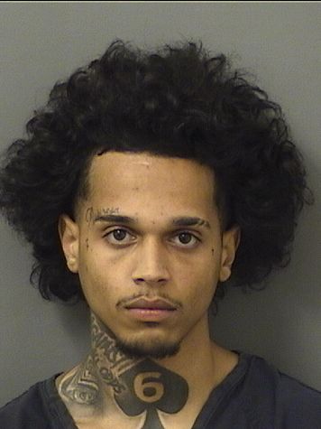  GUILLERMO RICARDO MORA Results from Palm Beach County Florida for  GUILLERMO RICARDO MORA