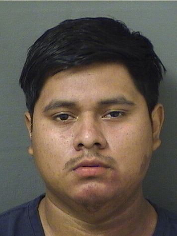  GABRIEL ORTIZPEREZ Results from Palm Beach County Florida for  GABRIEL ORTIZPEREZ