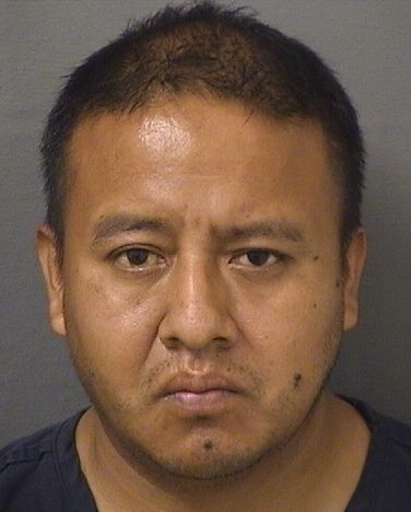  WILMAR RENE HERNANDEZGOMEZ Results from Palm Beach County Florida for  WILMAR RENE HERNANDEZGOMEZ