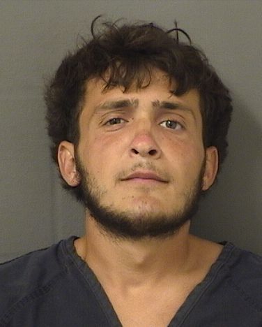  MARCO DAVID MULAS Results from Palm Beach County Florida for  MARCO DAVID MULAS