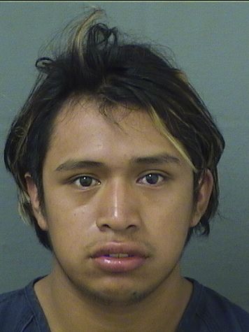  ADOLFO CHAVEZDIAZ Results from Palm Beach County Florida for  ADOLFO CHAVEZDIAZ