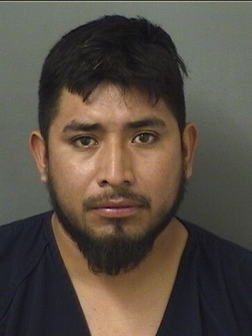  JUAN PINEDASERRANO Results from Palm Beach County Florida for  JUAN PINEDASERRANO