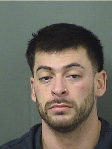  ANGELO TZORZIS Results from Palm Beach County Florida for  ANGELO TZORZIS