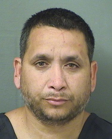  REINALDO LEONROBAINA Results from Palm Beach County Florida for  REINALDO LEONROBAINA