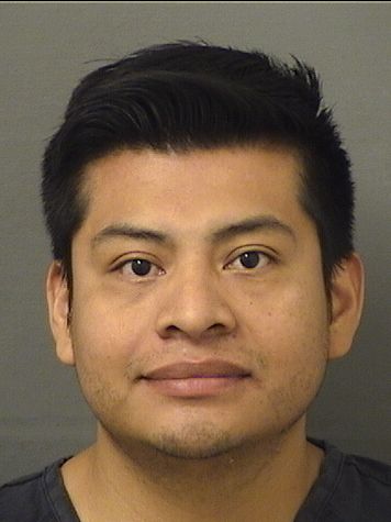  JESUS ALBERTO PEREZMCCARTHY Results from Palm Beach County Florida for  JESUS ALBERTO PEREZMCCARTHY
