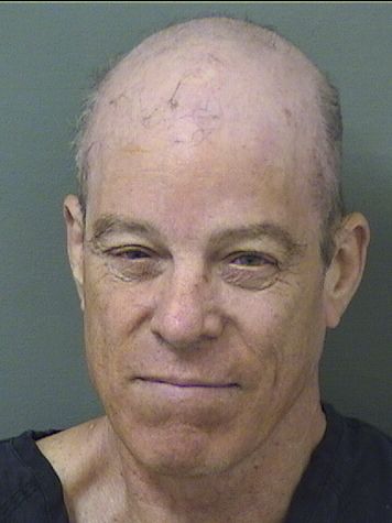  MICHAEL RENZULLI Results from Palm Beach County Florida for  MICHAEL RENZULLI