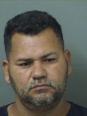  ELVIN ARMANDO RIVERAMURILLO Results from Palm Beach County Florida for  ELVIN ARMANDO RIVERAMURILLO