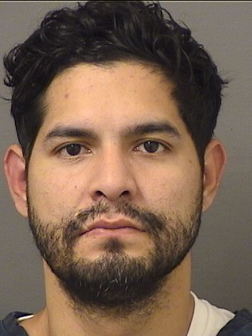  GONZALO GERMAN GELSO Results from Palm Beach County Florida for  GONZALO GERMAN GELSO